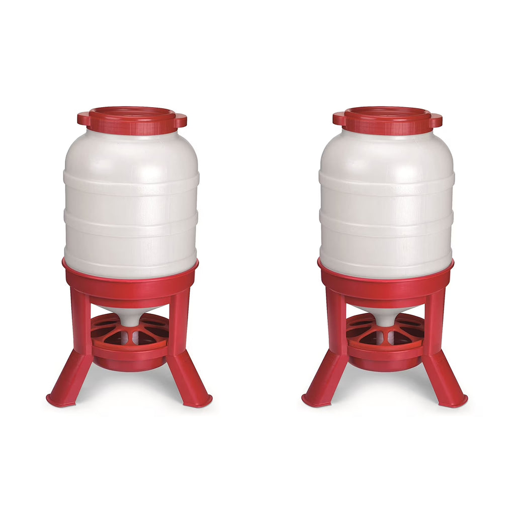 Little Giant Plastic Dome Poultry Feeder 60 Lbs.