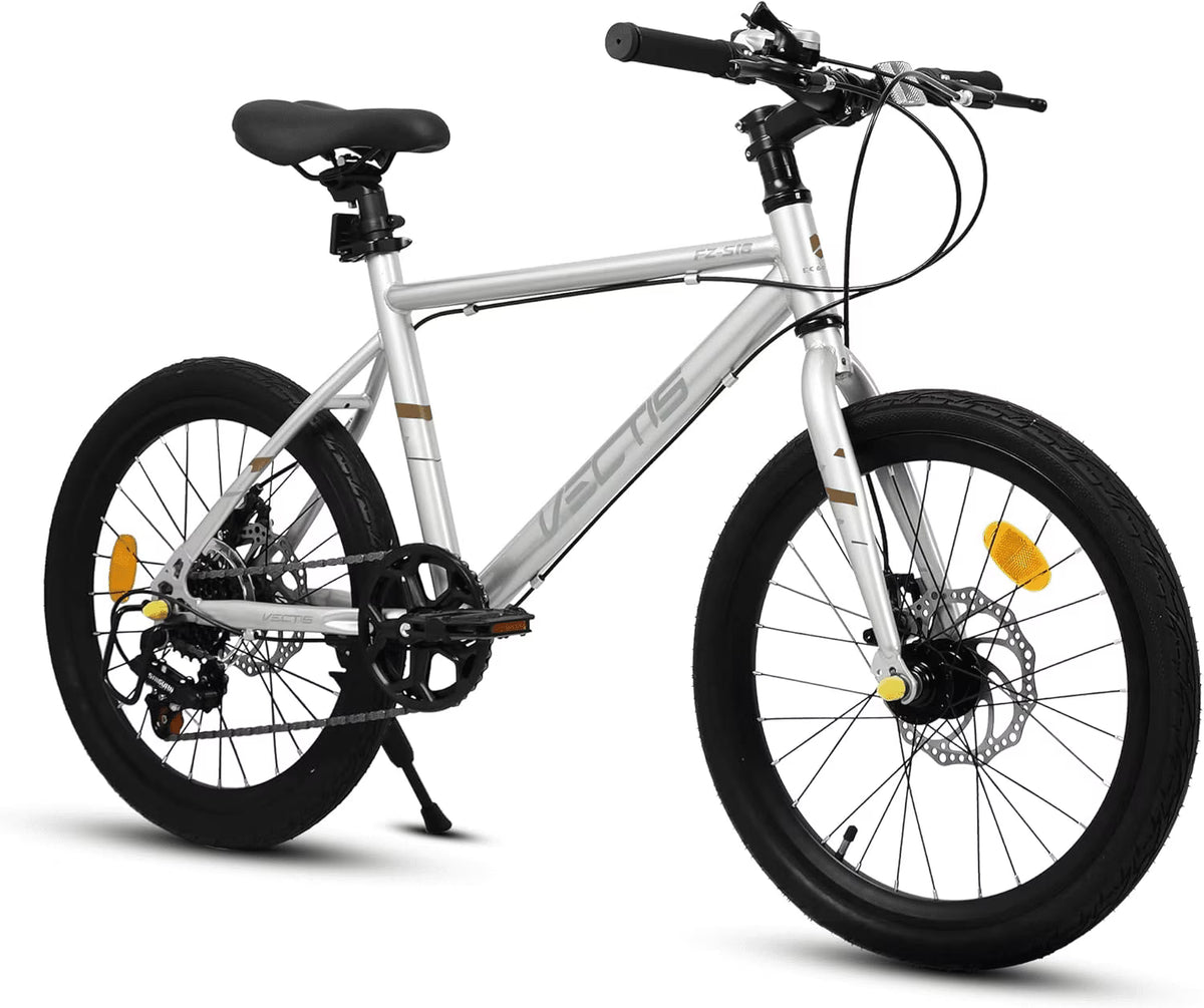 20 Inch Kids Bike for Boys Girls, 7-Speed Children Road Bike with Steel Frame and Dual Disc Brakes, Kids Road Bicycle for Ages 6-12 Years Old Birthday Gift, Silver