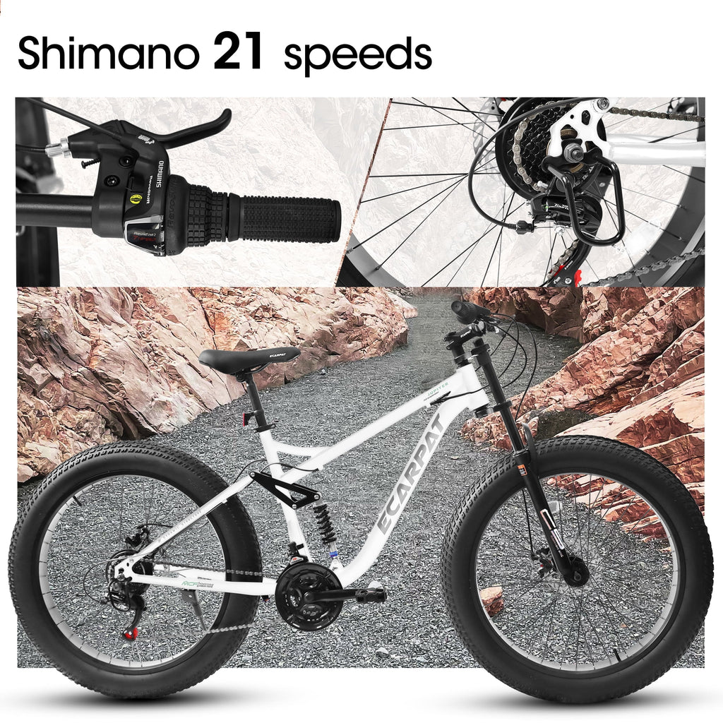 26 in Men's Fat Tire Bike,Shimano 21-Speed,Full Suspension Mountain Bike,Black
