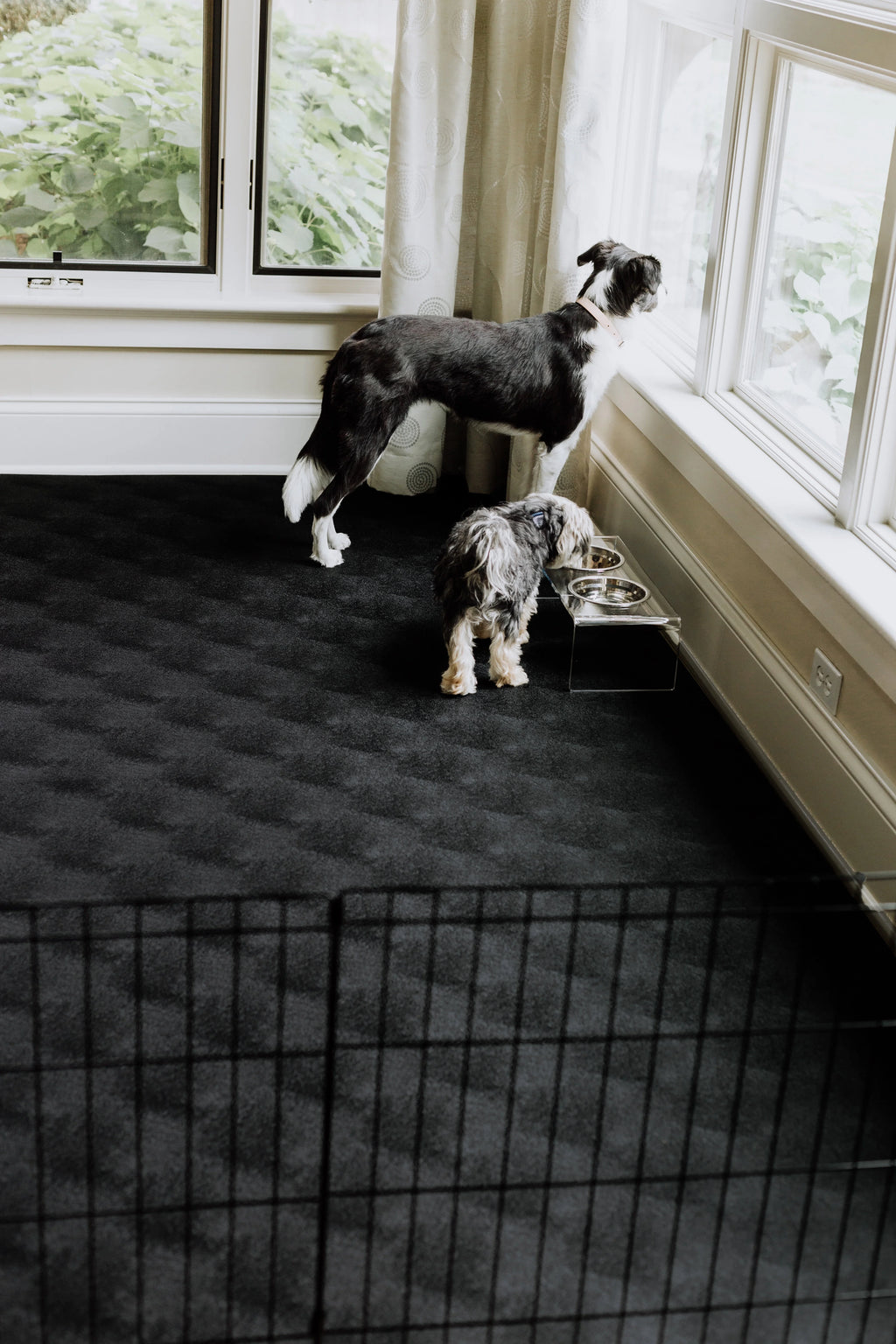 G-Floor 7.5' x 17' Vinyl Levant Pet Friendly Carpet Protector for Dogs & Cats - Midnight Black
