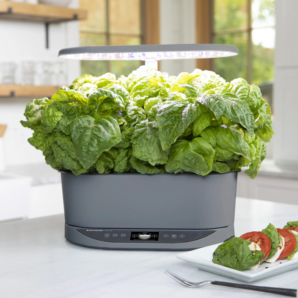 AeroGarden Bounty Basic - Indoor Garden with LED Grow Light, Black