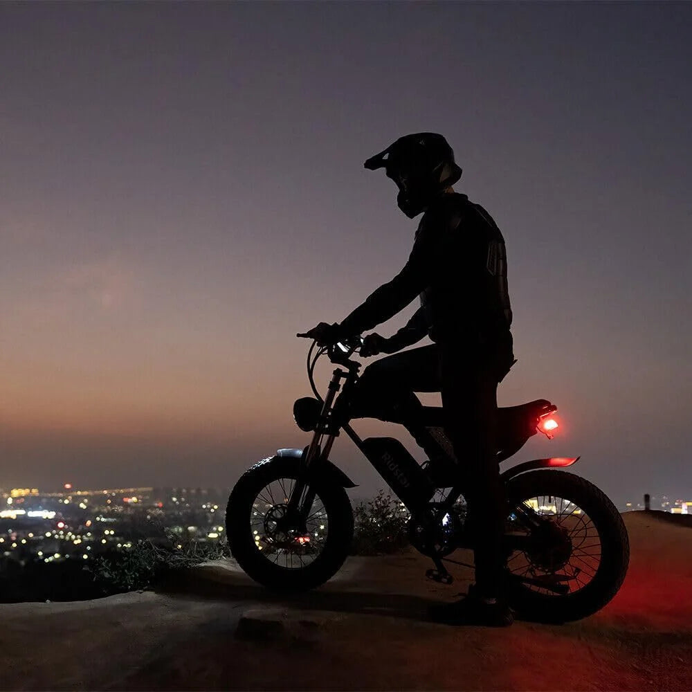 Ridstar Electric Bike for Adults,Peak 1500W 30MPH,48V 15.6Ah Electric Bicycle,Full Suspension Mountain Bike UL2849