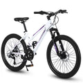 Raistyw Mountain Bikes for Adult, 24 inch Womens Bicycle Shimano 21 Speed with Dual Disc Brakes, Pink
