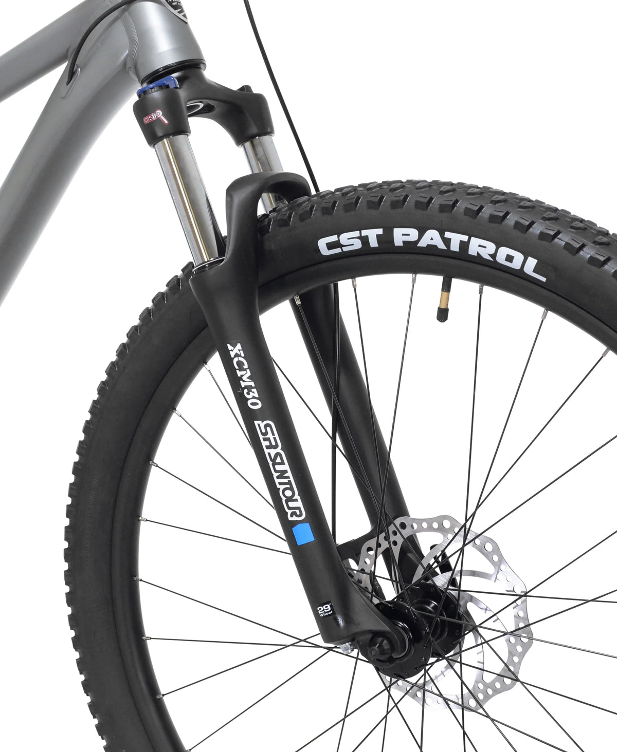 Kent Bicycles 29" Men's Trouvaille Mountain Bike Medium, Black and Taupe
