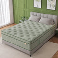 Viscountess 14inch Queen Mattress with Gel Memory Foam Medium Firm Euro Top Hybrid Mattress Queen Size in a Box,Adult