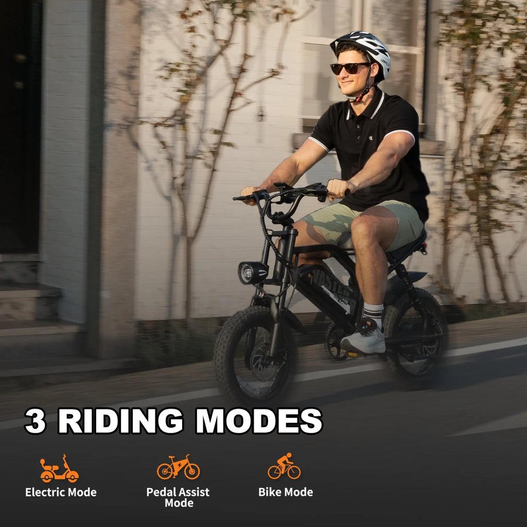 AVDL Electric Bike,16" Fat Tire Ebike,500W Motor,48V 12Ah Removable Battery,4x Suspension,38 Miles Pure Electric,55 Miles Pedal