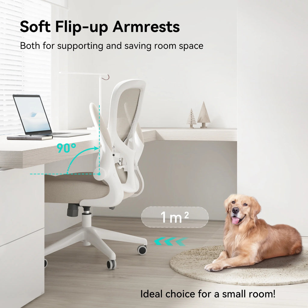 Hbada Office Chair, Ergonomic Desk Chair, Computer Mesh Chair with Lumbar Support and Flip-up Arms, Gray