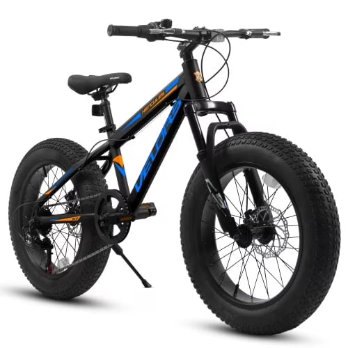 20 Inch Fat Tire Bike Adult 7 Speed Mountain Bike, Dual Disc Brakes, High Carbon Steel Frame, Front Suspension, Mountain Buggy, City Commuter City Bike, Fat Tire Bike Black