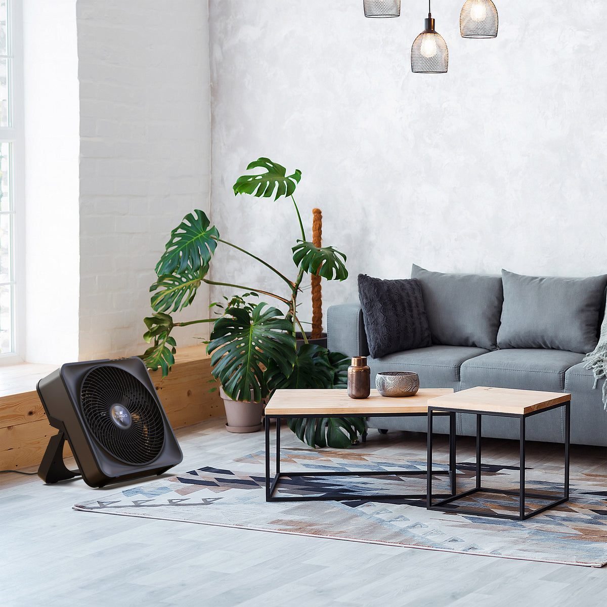 Vornado Box Fan
