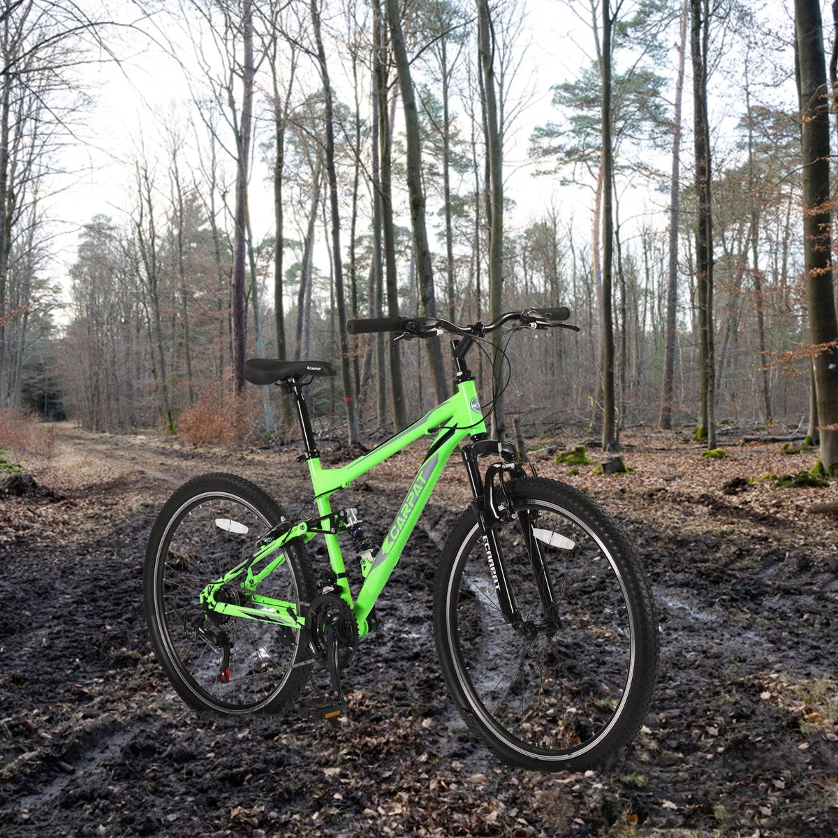 Full Suspension Mens Mountain Bike, 26 inch Bike for Men Women, Green