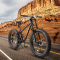 26 in Men's Fat Tire Bike,Shimano 21-Speed,Full Suspension Mountain Bike,Black