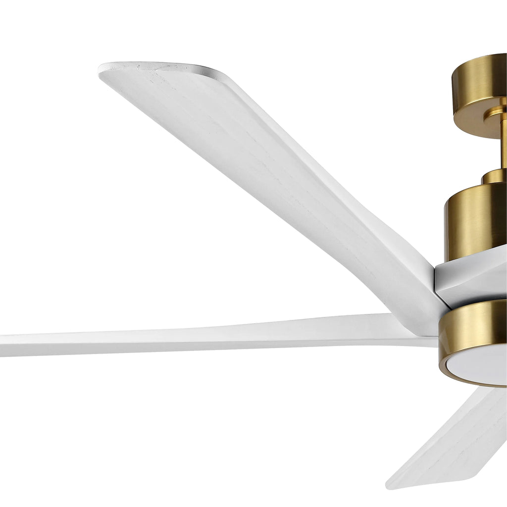 WINGBO 64 Inch DC Ceiling Fan with Lights and Remote Control, 5 Reversible Carved Wood Blades - N/A Matte Black/Walnut