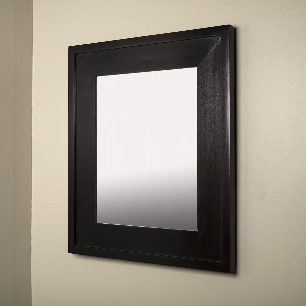 14x18 Contemporary White Mirrored Medicine Cabinet by Fox Hollow Furnishings