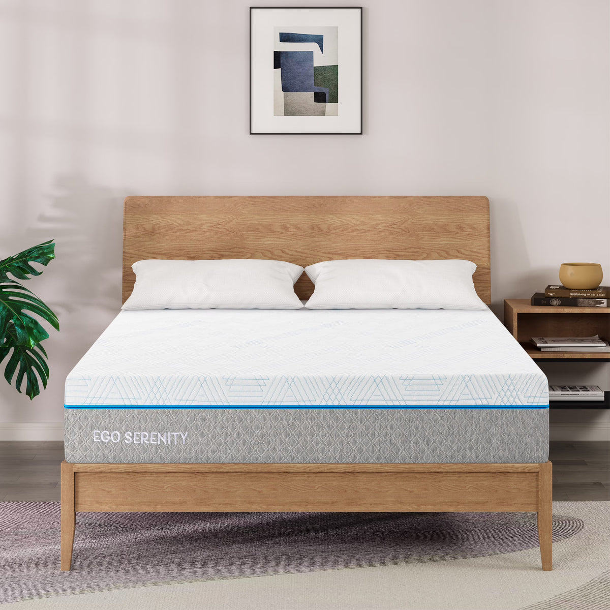 MLILY Queen Mattress, Gel Memory Foam 10" Mattress in a Box, Ego Serenity