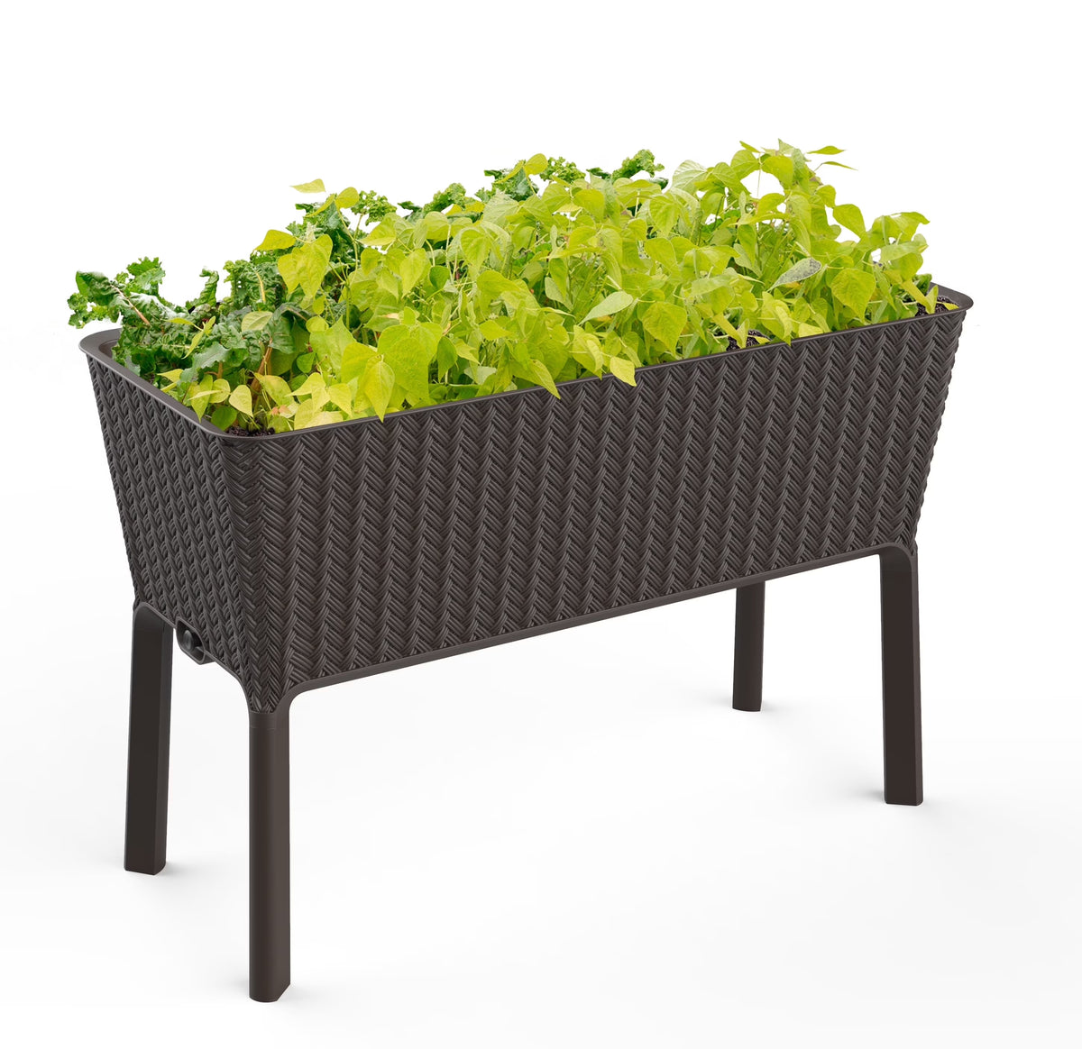 Keter Splendor 31.7 Gallon Raised Garden Bed with Self Watering and Drainage, Grey