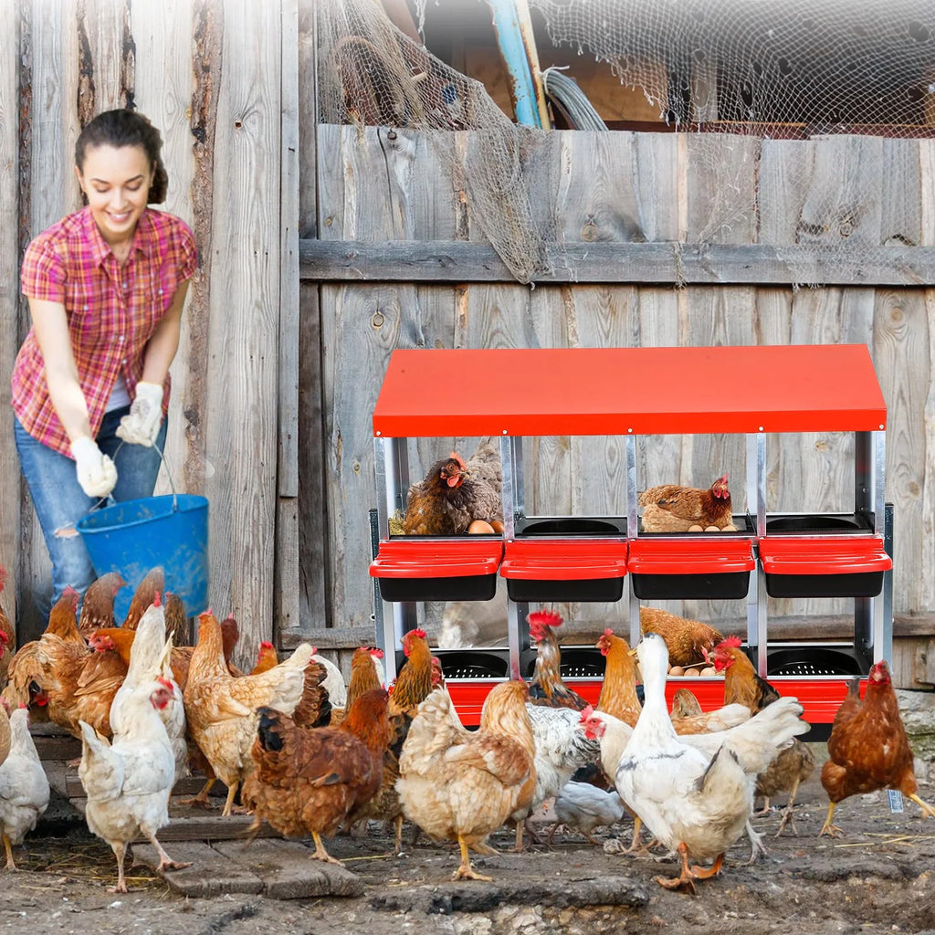 Chicken Nesting Box, 6/8/10 Compartment Nesting Box, Heavy Duty Chicken Coop Nesting Box with Removable Tray, Metal Chicken Laying Box for Chicken