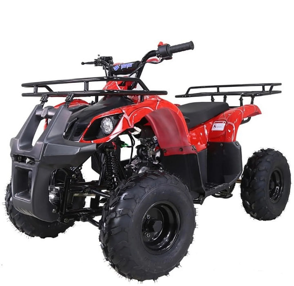 2021 New Tao Motor ATA- 1Automatic Gas All-Terrain Vehicle (ATV) With Big 16'' Tires and Reverse  - Midnight Black Color