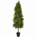 6 ft. Cypress Tree Shrub, Green