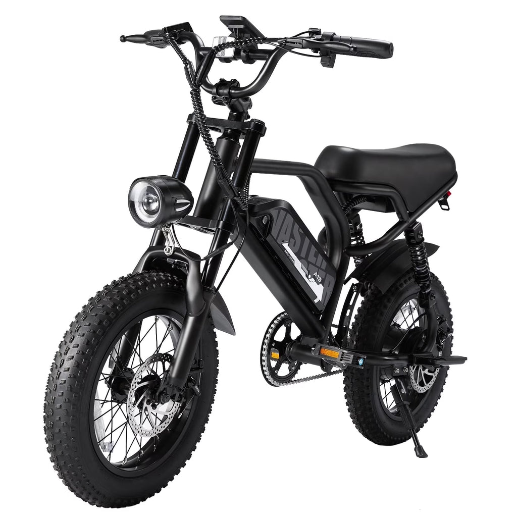 AVDL Electric Bike,16" Fat Tire Ebike,500W Motor,48V 12Ah Removable Battery,4x Suspension,38 Miles Pure Electric,55 Miles Pedal