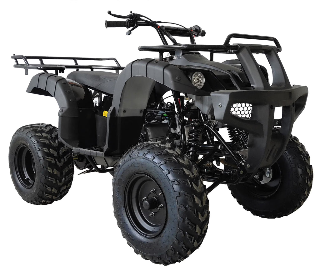 SmartDeals 200cc ATV with Automatic Transmission and Disc Brakes