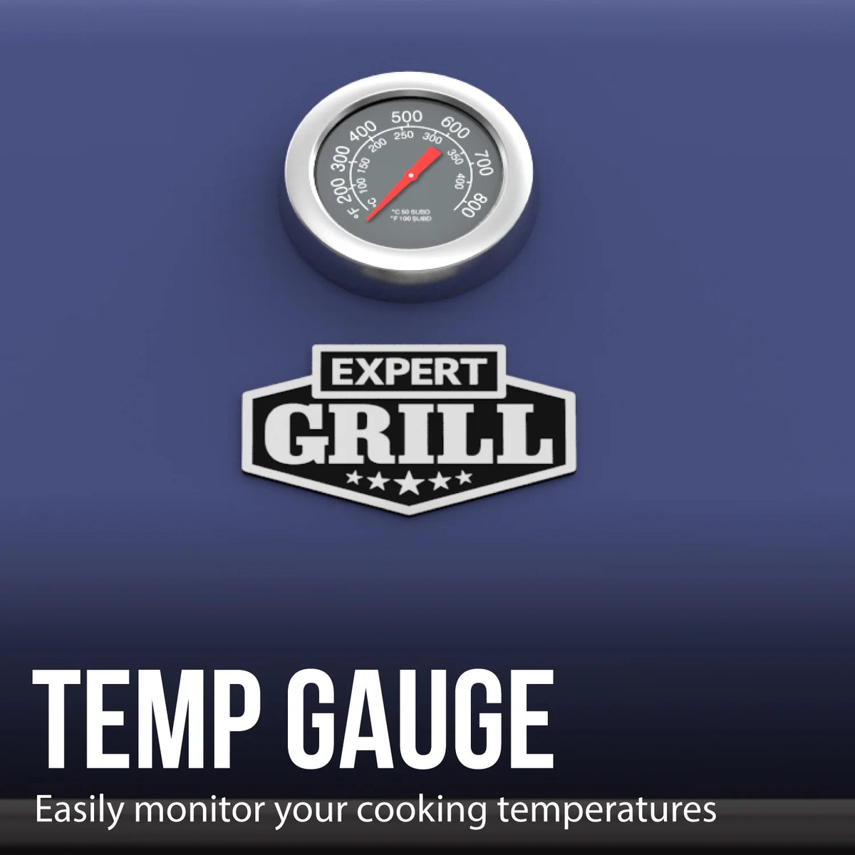 Expert Grill 5 Burner Propane Gas Grill with Side Burner