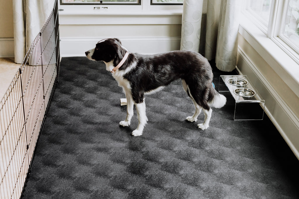 G-Floor 7.5' x 17' Vinyl Levant Pet Friendly Carpet Protector for Dogs & Cats - Midnight Black
