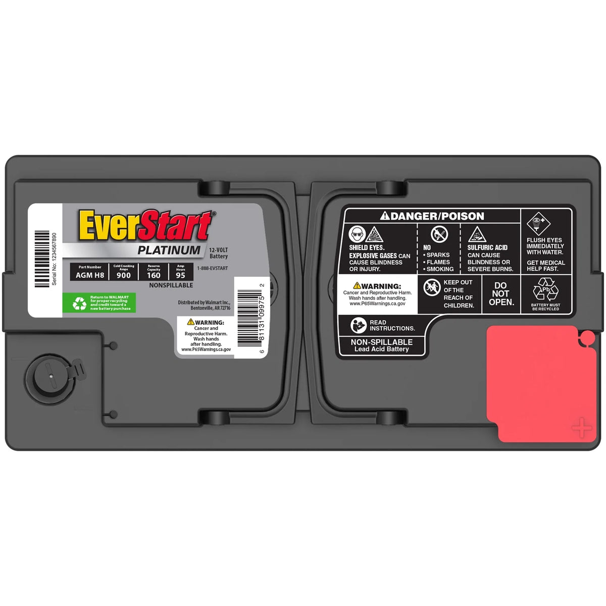 EverStart Platinum AGM Automotive Battery, Group Size H8 / LN5 / 49 12 Volt, 900 CCA
