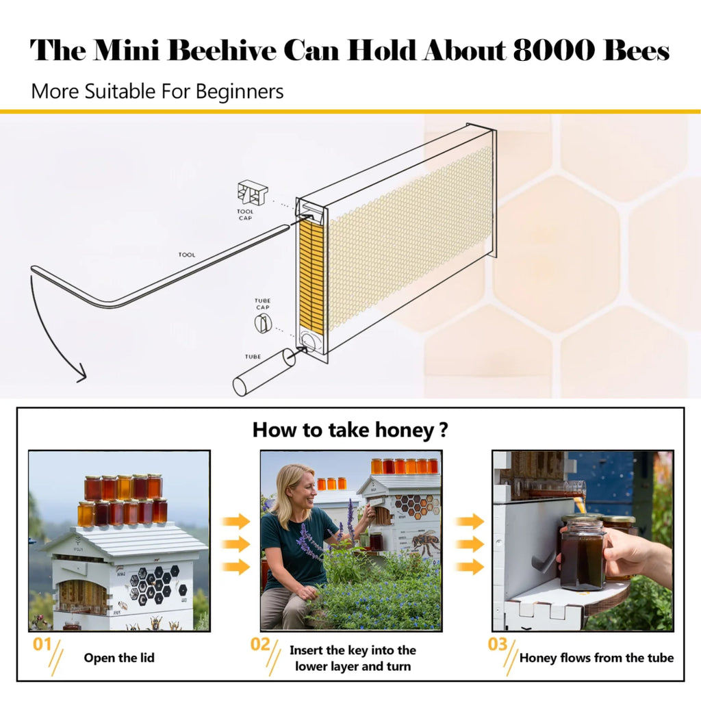 Bee Hive with Tap and Flow Hive Frame Complete Beehive Kit for Beginners