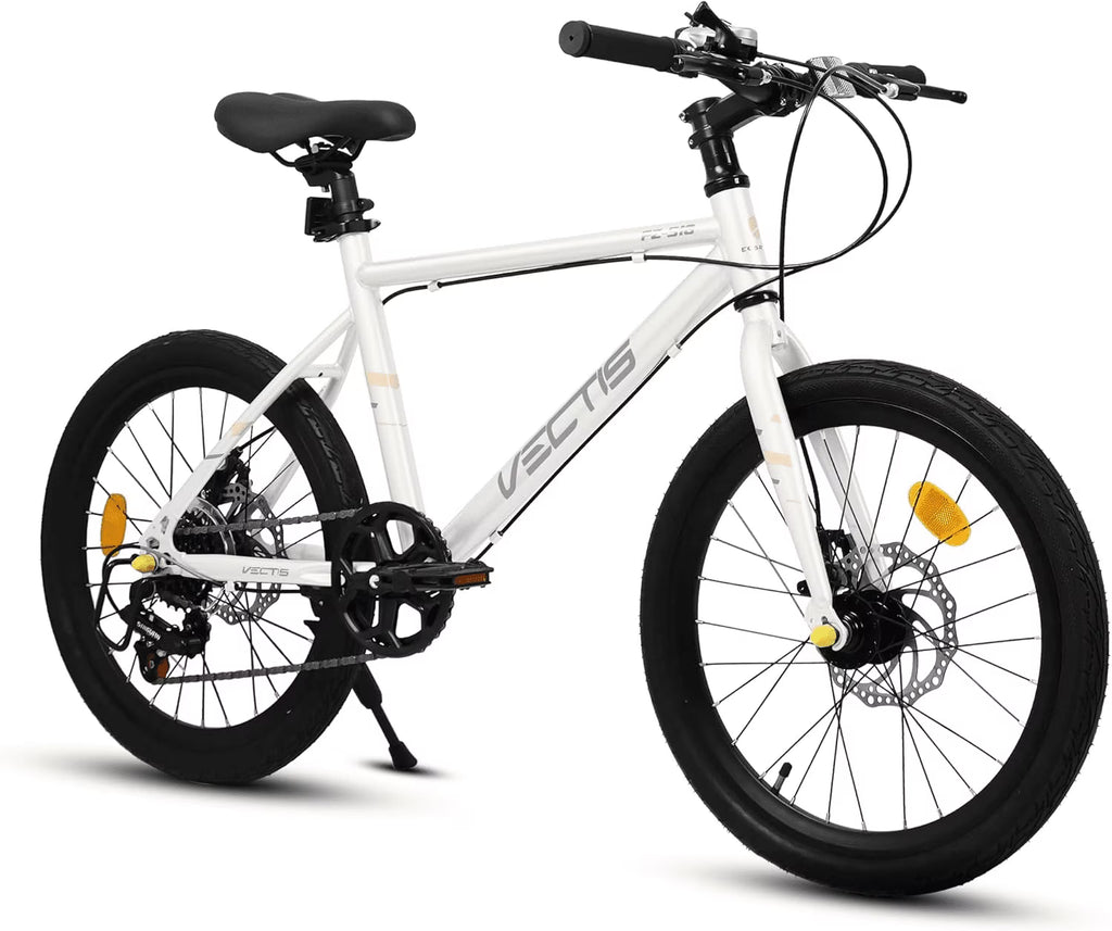 20 Inch Kids Bike for Boys Girls, 7-Speed Children Road Bike with Steel Frame and Dual Disc Brakes, Kids Road Bicycle for Ages 6-12 Years Old Birthday Gift, Silver