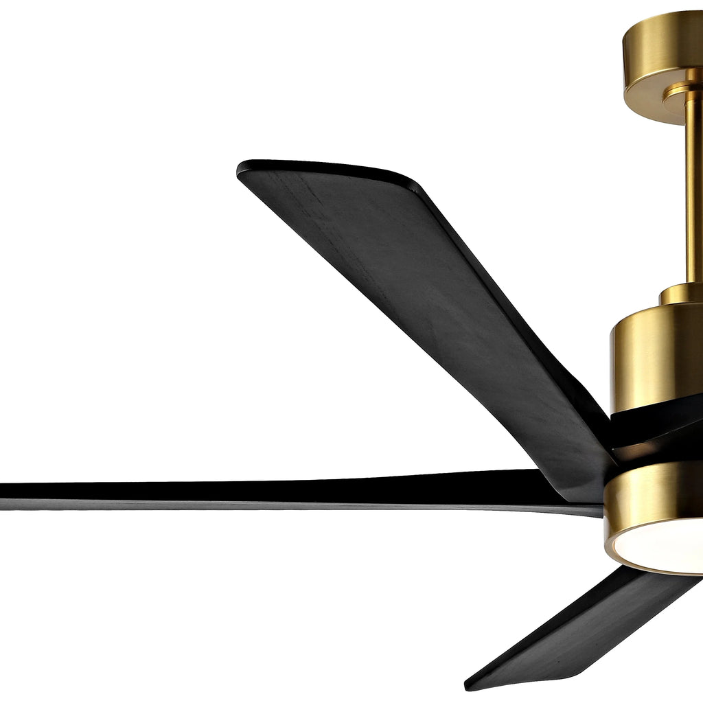 WINGBO 64 Inch DC Ceiling Fan with Lights and Remote Control, 5 Reversible Carved Wood Blades - N/A Matte Black/Walnut