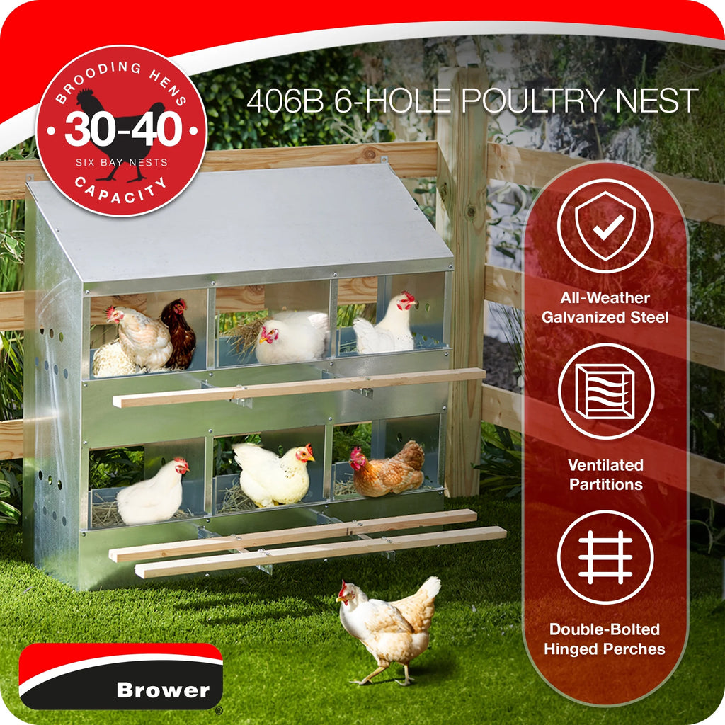 Brower Galvanized Steel 6 Hole 30 Bird Poultry Nest Chicken Brooding Box