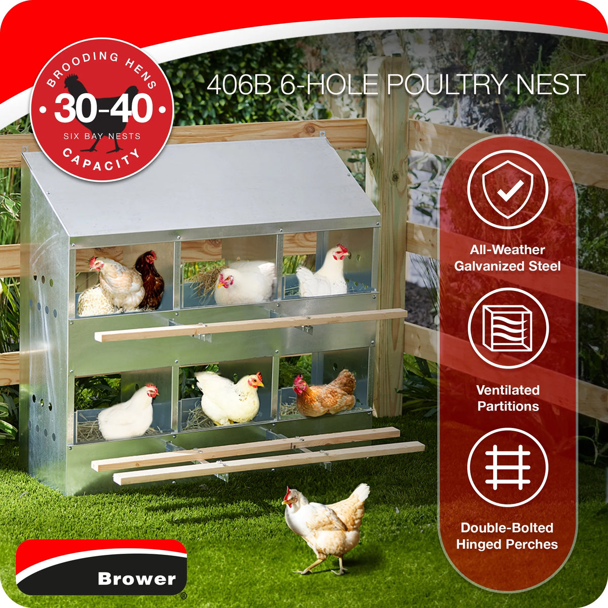 Brower Galvanized Steel 6 Hole 30 Bird Poultry Nest Chicken Brooding Box