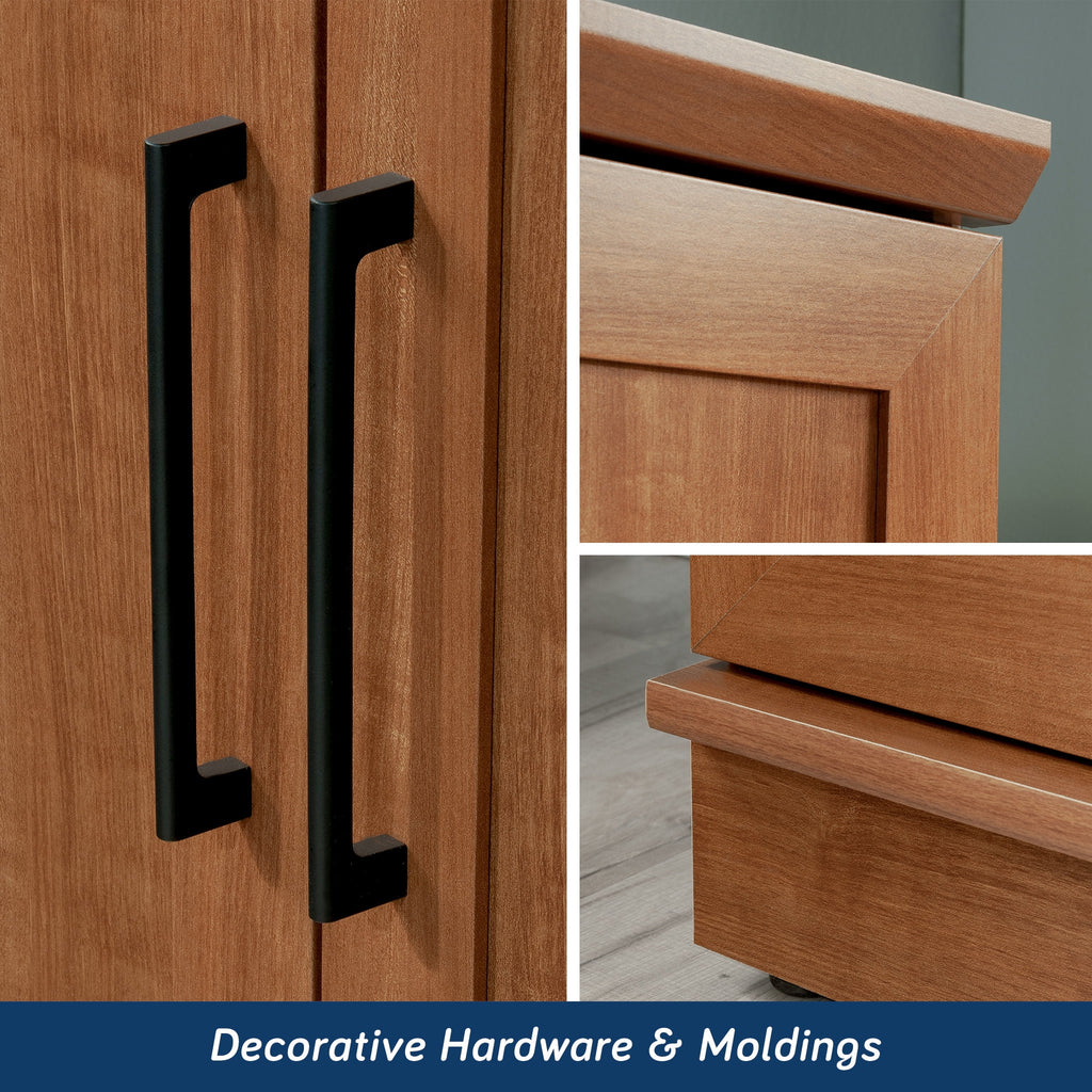 Sauder Homeplus Storage Cabinet, Sienna Oak Finish