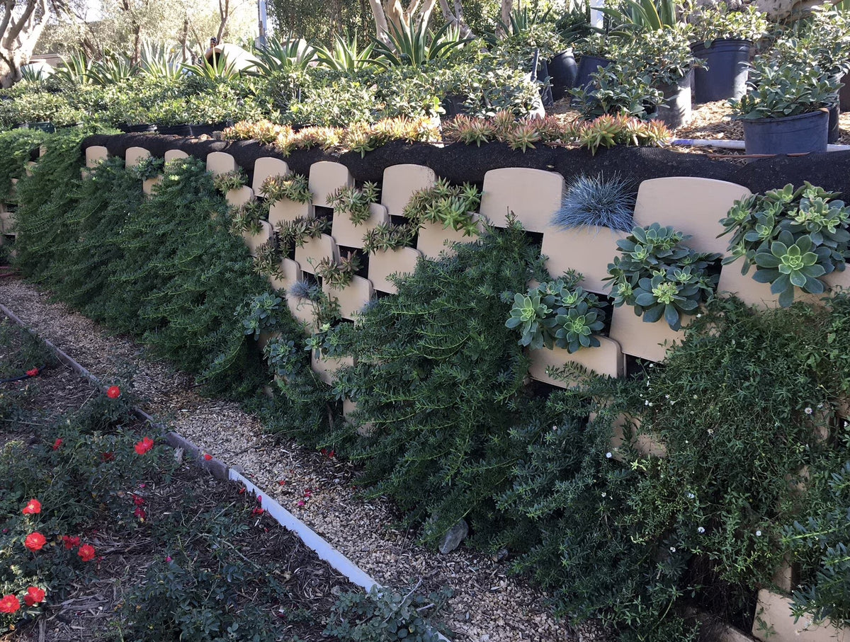 Varden Retaining Wall Block - Lightweight, Easy to Install, Shippable 10 Count Box