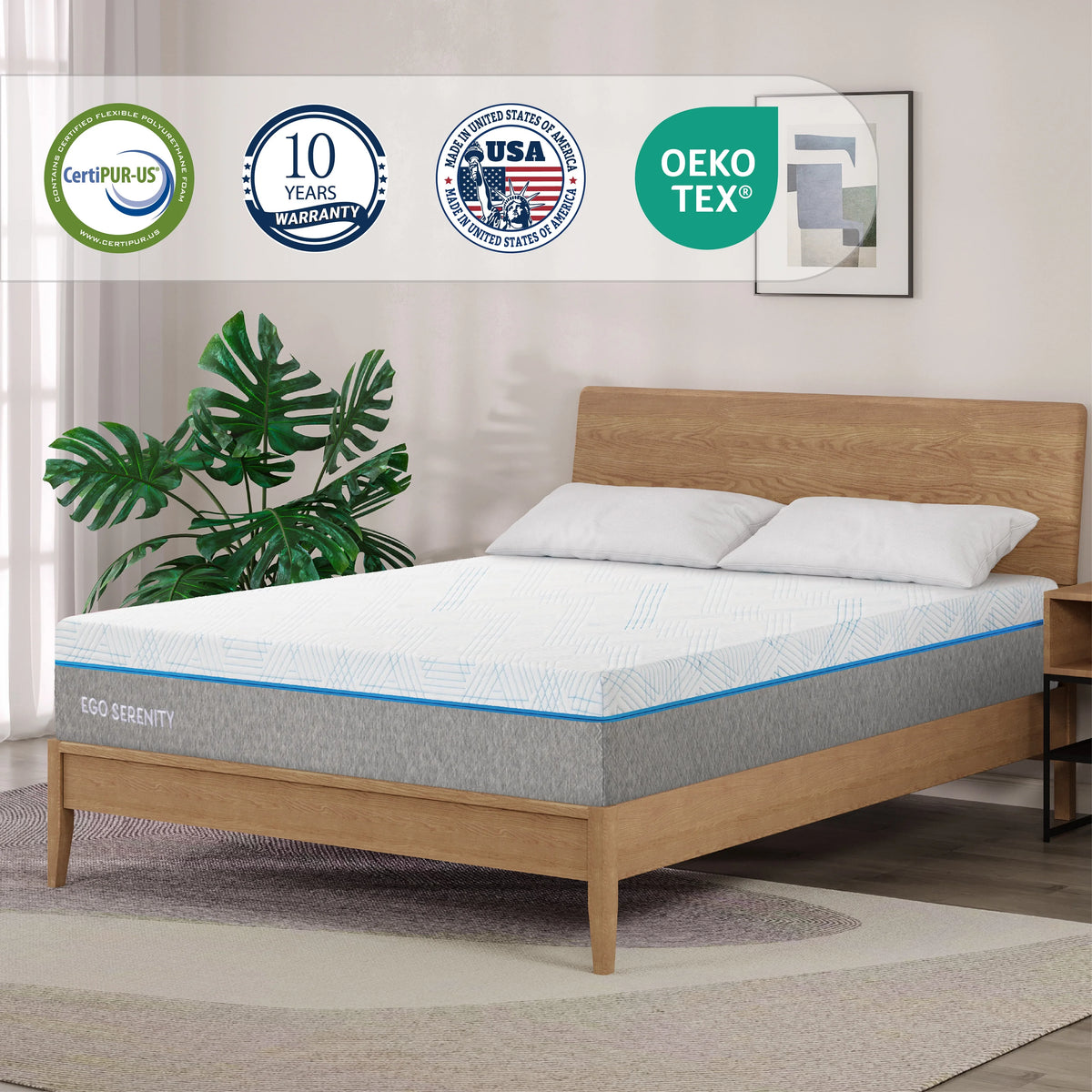 MLILY Queen Mattress, Gel Memory Foam 10" Mattress in a Box, Ego Serenity