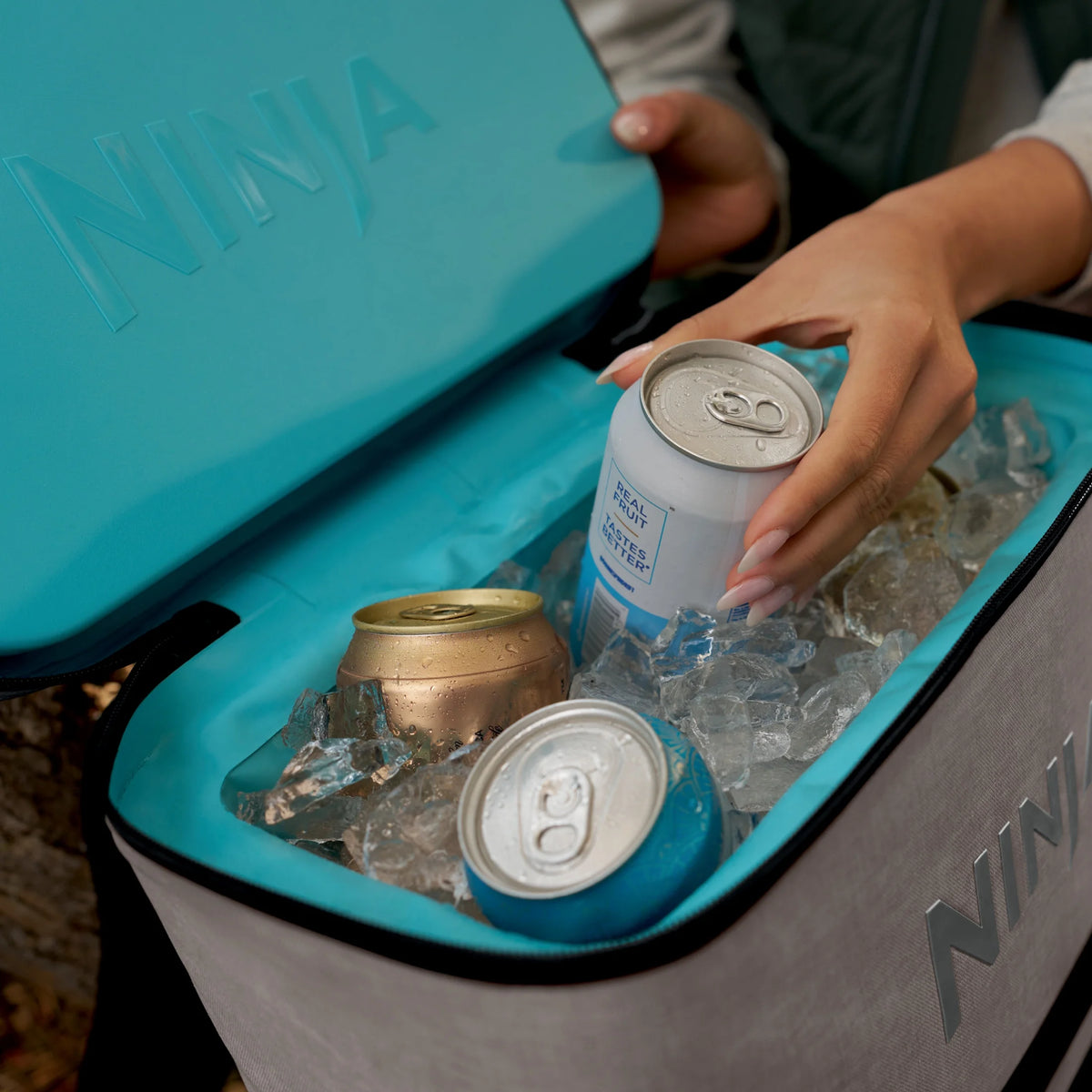 Ninja Outdoor FrostVault Go 24-Can Soft Cooler with Cold Dry Zone, Lakeshore Blue - FF124NV