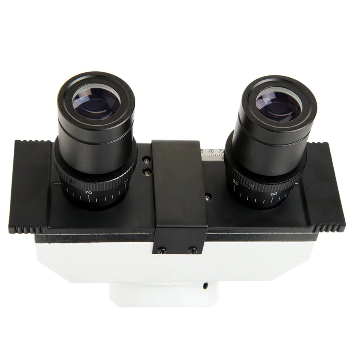 Celestron CB1000CF Compound Binocular Microscope, 40-1000X