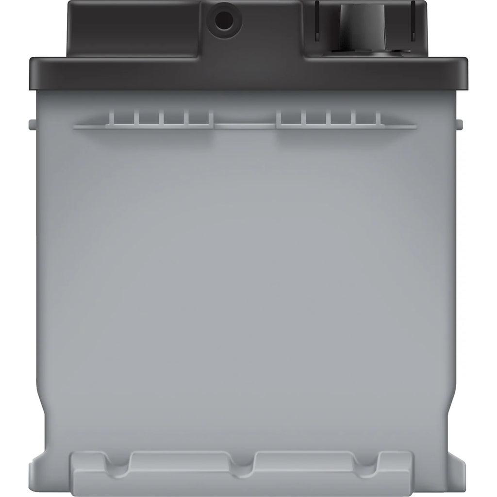 EverStart Platinum AGM Automotive Battery, Group Size H8 / LN5 / 49 12 Volt, 900 CCA