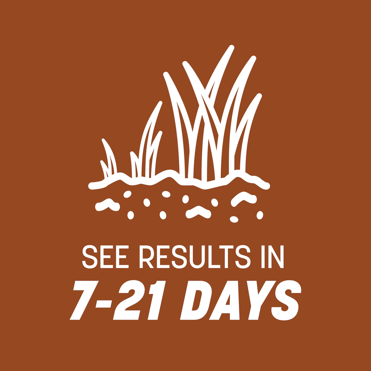 Pennington Sahara II Bermudagrass Penkoted Grass Seed 25 lb, Full Sun, Heat Tolerant