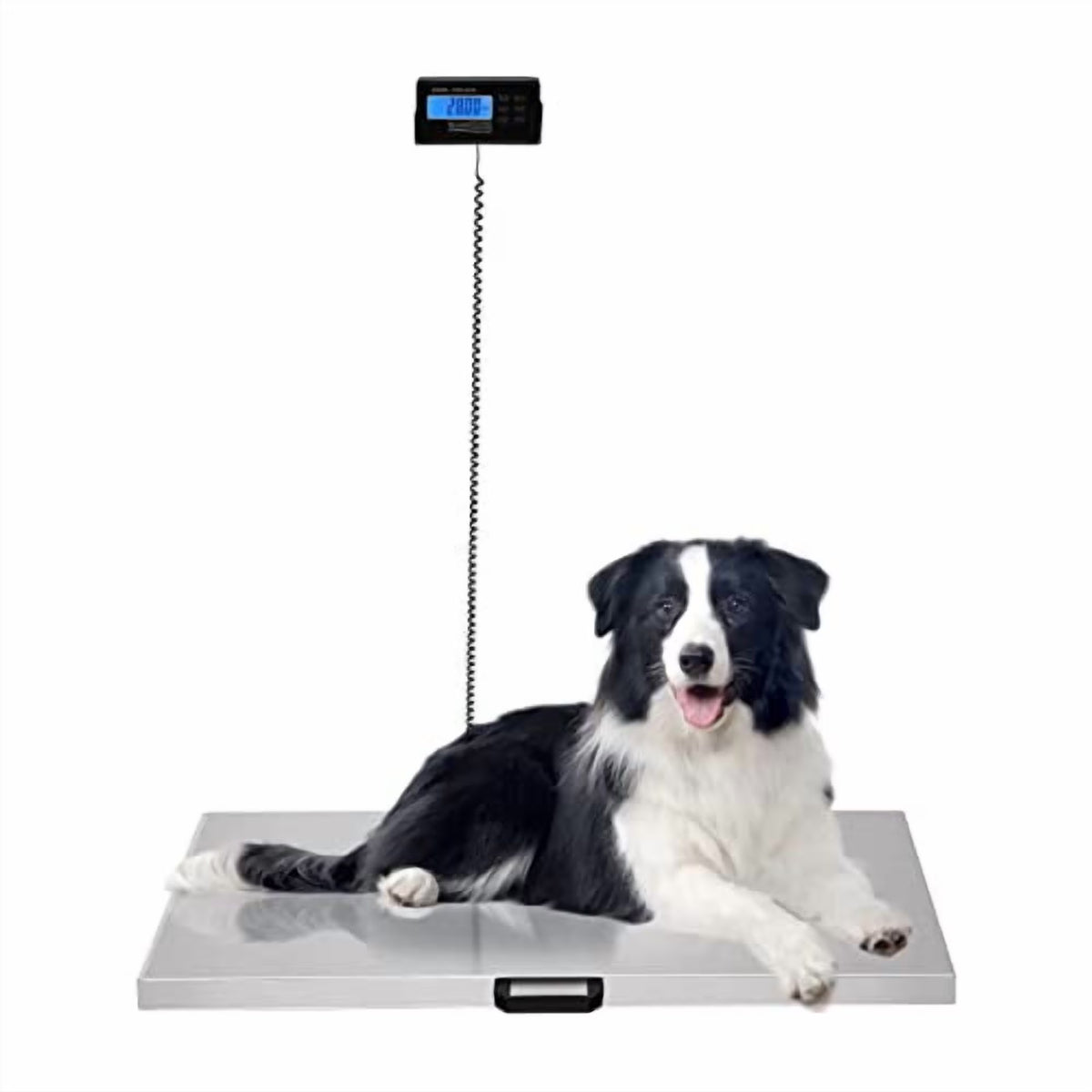Digital Livestock Scale Large Pet Scale for Animal Weight Scale Stainless Steel Platform Electronic Postal Shipping Scale Heavy Duty Large Dog (440Lbs)