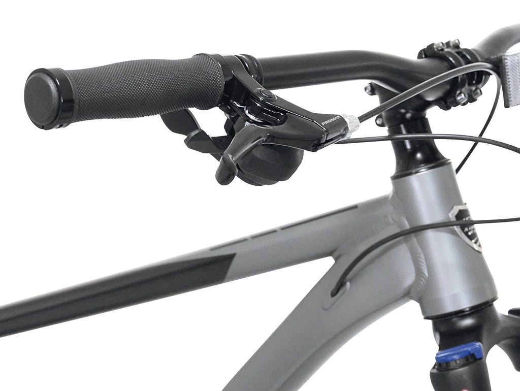 Kent Bicycles 29" Men's Trouvaille Mountain Bike Medium, Black and Taupe
