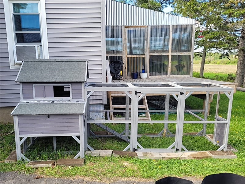 Aivituvin Chicken Coop Extra Large Chicken House Outdoor Poultry Cage for 8-10 Chickens