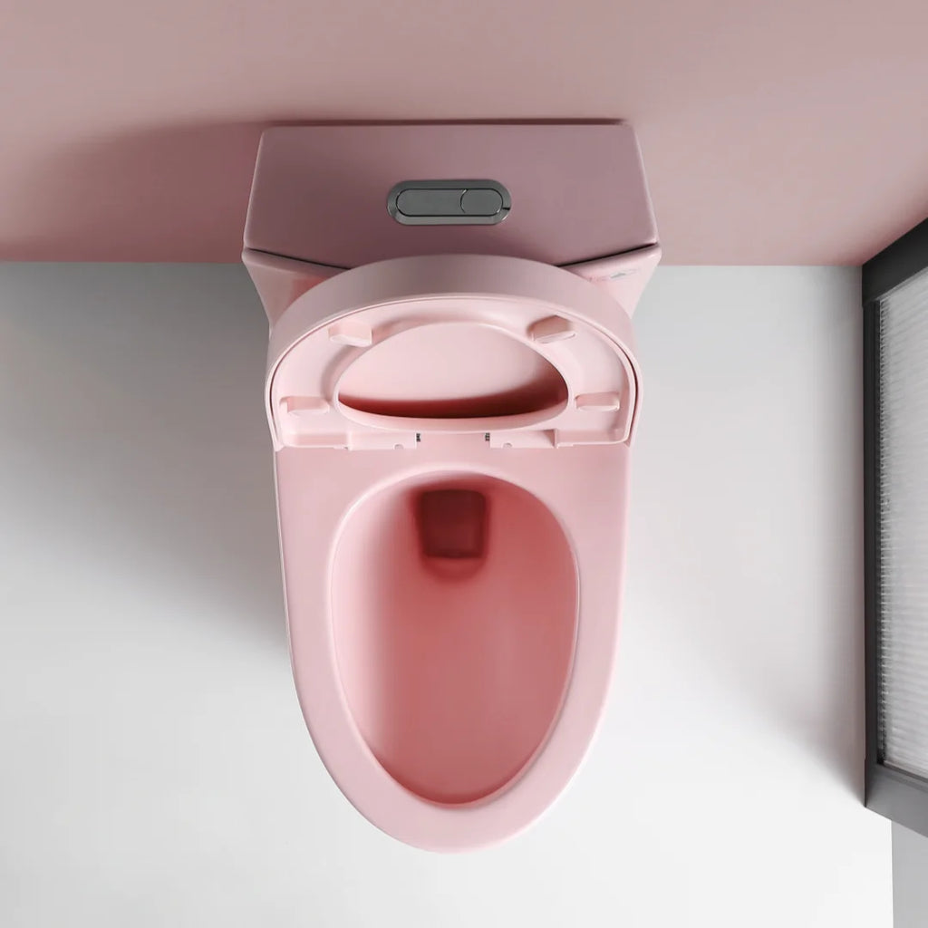 GINOST 1.1/1.60 GPF Dual-Flush One Piece Toilet, Water-Saving Elongated Comfort Height Floor Mounted, Soft Close 1000 Gram Map Flushing Score Toilet, Rose 23T01-RS