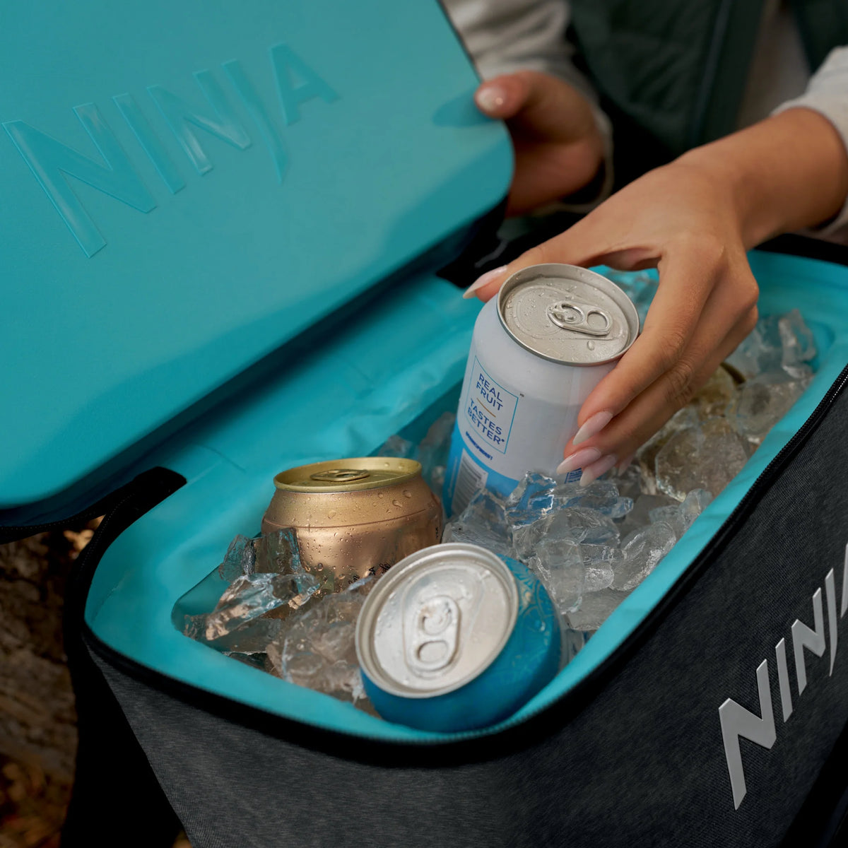 Ninja Outdoor FrostVault Go 24-Can Soft Cooler with Cold Dry Zone, Lakeshore Blue - FF124NV