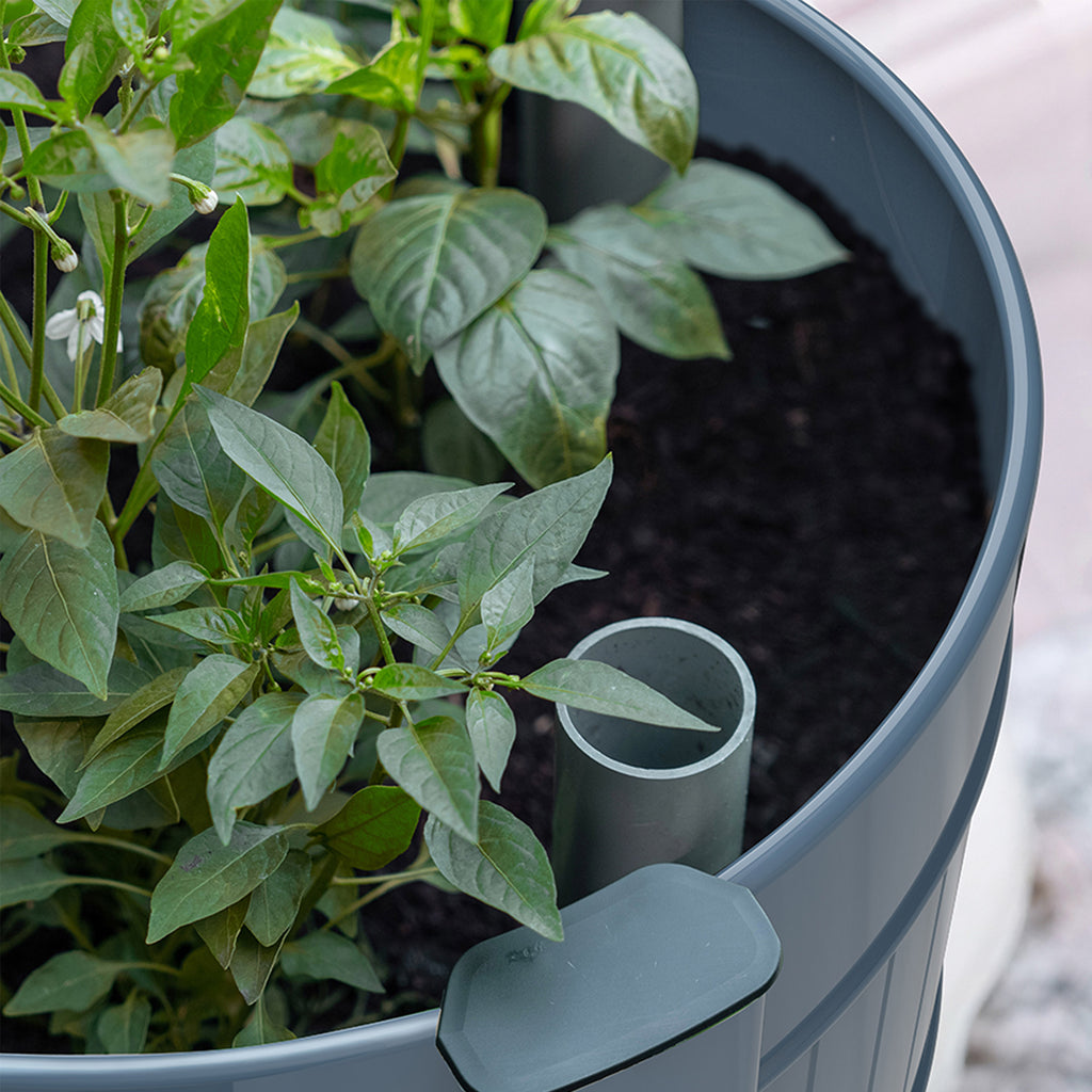 Permasteel Elevated Garden Bed With Casters