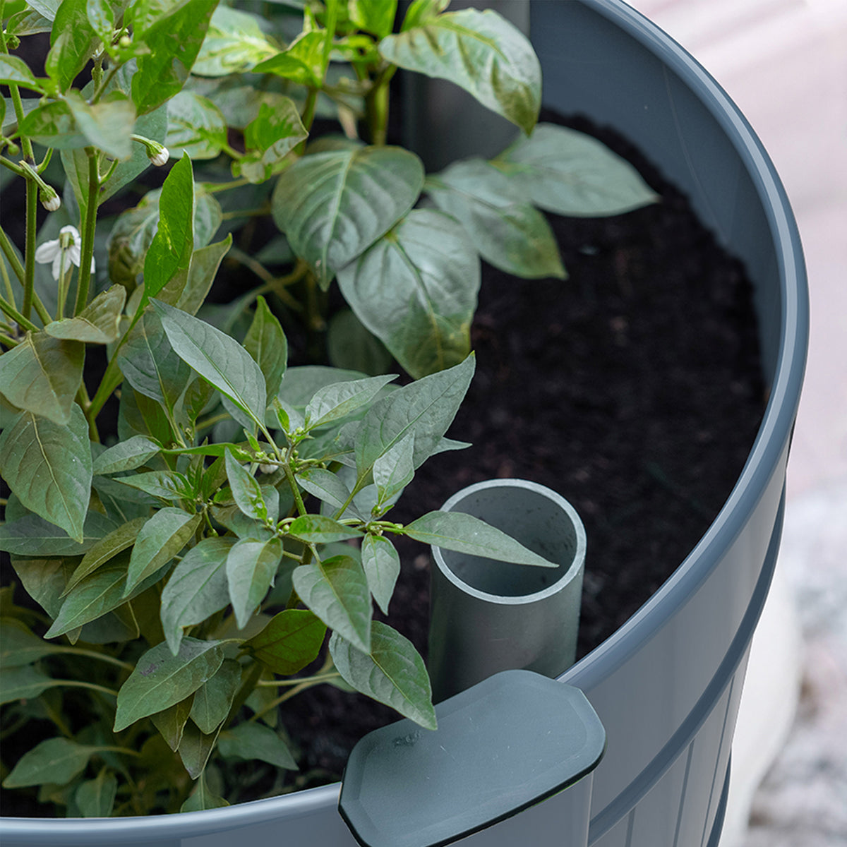 Permasteel Elevated Garden Bed With Casters