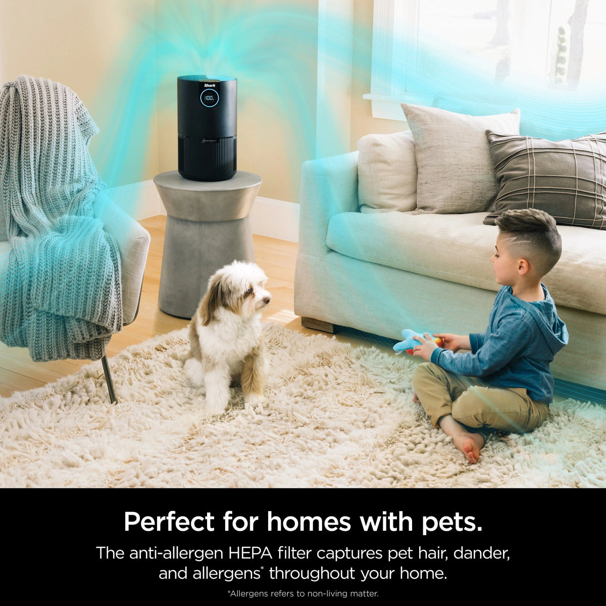 Shark Air Purifier with Nanoseal HEPA, Cleansense IQ, Odor Lock, Cleans up to 500 Sq. ft, Charcoal Grey, HP100