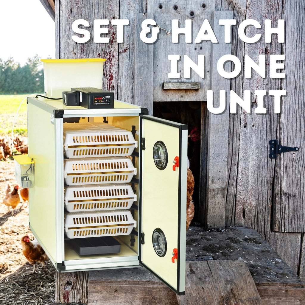 CT120SH Egg Incubator with Automatic Egg Turning & Perfect Humidity Controls, Set & Forget Design, Cabinet Incubators for Hatching Eggs, Incubate and Hatch 120 Chicken Eggs | Hatching Time