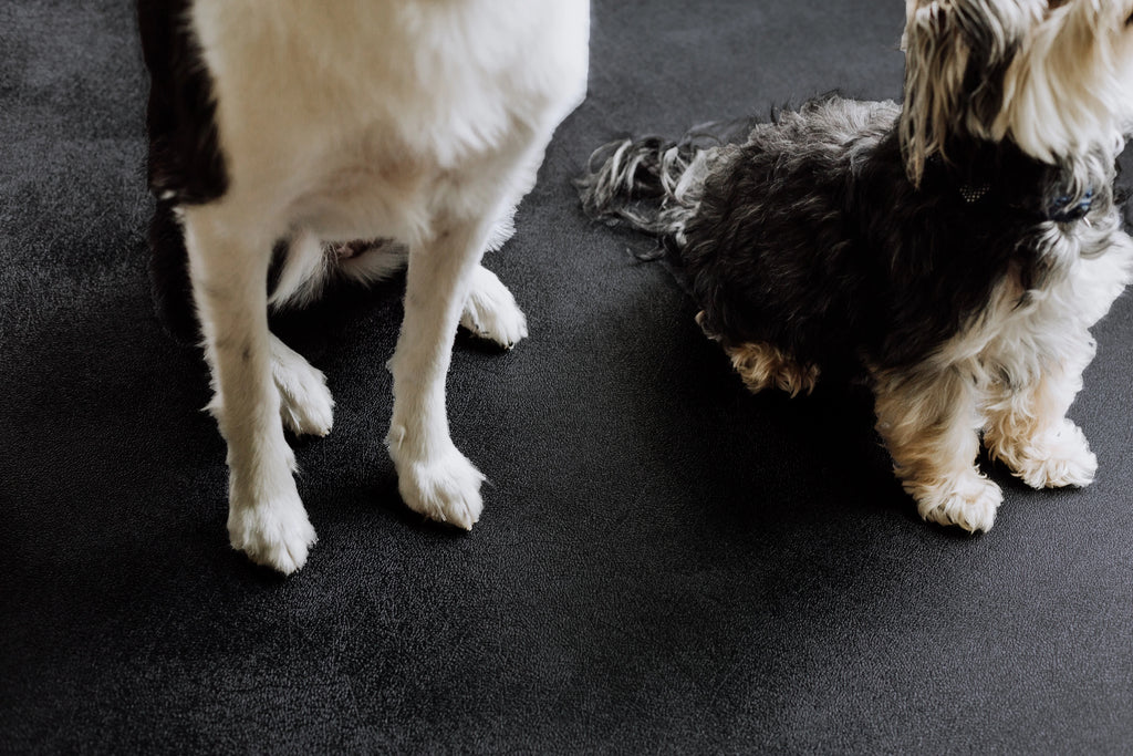 G-Floor 7.5' x 17' Vinyl Levant Pet Friendly Carpet Protector for Dogs & Cats - Midnight Black