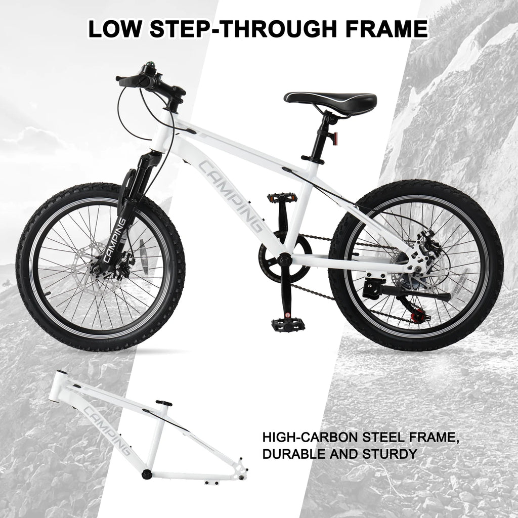 Ktaxon 20" Mountain Bike, 7 Speed Bike with Disc Brakes, Black